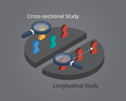 Cross-Sectional Studies: Types, Pros, Cons & Uses